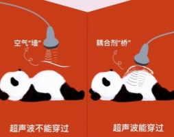 /zh/hangyedongtai/1483.html